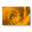 Golden Rose Flower in Abstract - Wrapped Canvas-55313071