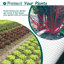 Clôture en fil de poulet galvanisé, 60 m, jardin extérieur, foncé, rouille, fil de solution économique, protection de jardin, bordure pratique