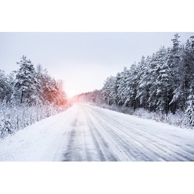 " Forest In Winter "