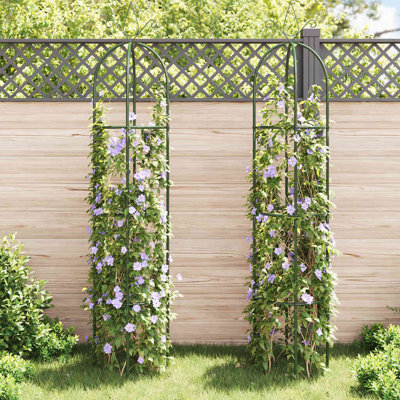Support pour plante grimpante d'extérieur standard
