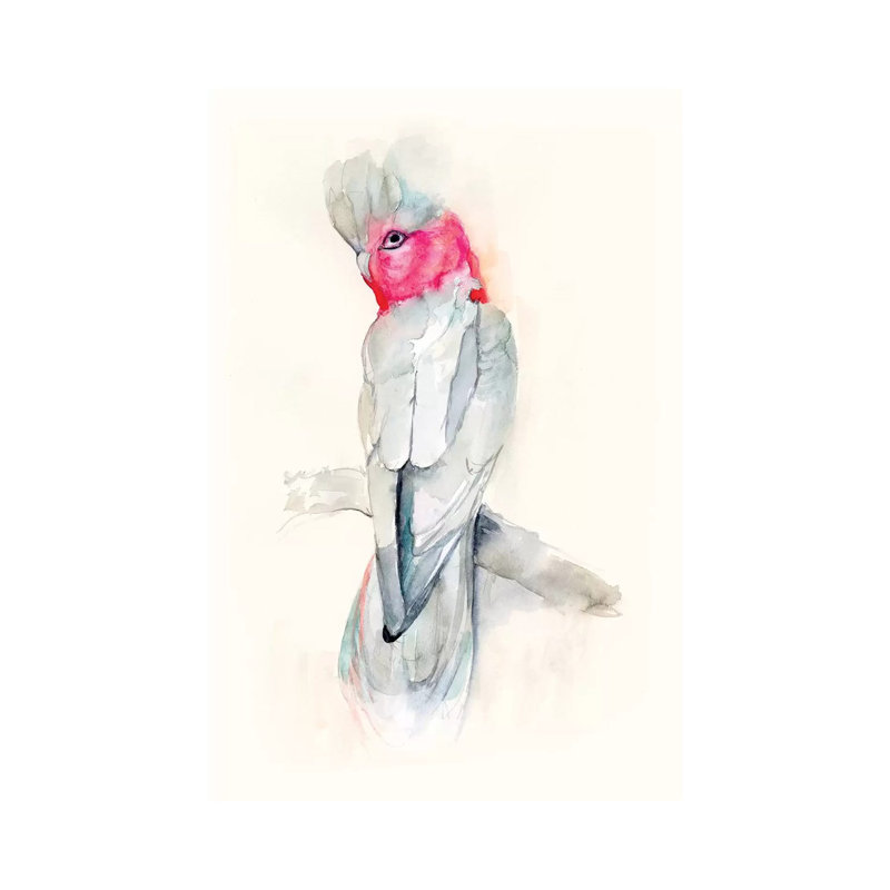 Opera Cockatoo II by Jennifer Goldberger - Wrapped Canvas Print, 20.32 cm H x 30.48 cm W