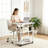 Portable Rolling Desk