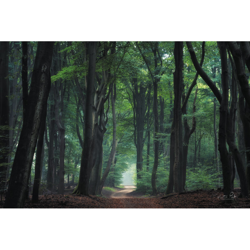 «Deep Green» par Martin Podt - reproduction d'art sur toile tendue, H 12 po x l 18 po