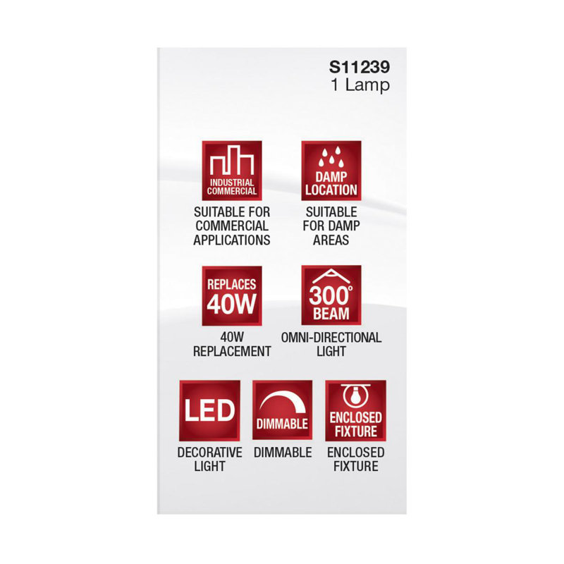 5 Watt Clear LED Bulb, 5000K