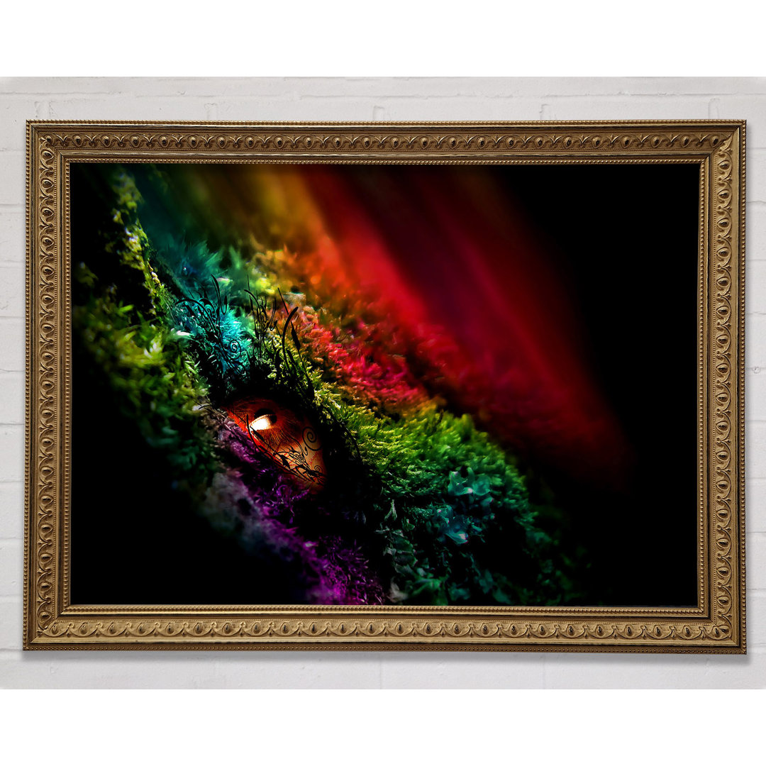 Eye Of The Rainbow - Einzelne Bilderrahmen Kunstdrucke