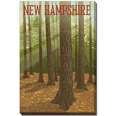 Affiche du New Hampshire State