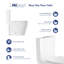 Eridanus 6.1 LPF Elongated 434 cm Floor Mounted and Bolts One-Piece Toilet (Seat Included)
