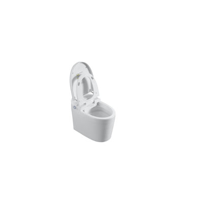 Smart Toilet