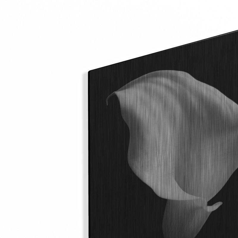 "Lily On Black 02" par Tom Quartermaine, H 16 po x l 12 po