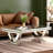 Garnette Mirrored Coffee Table Rectangular U-Legs