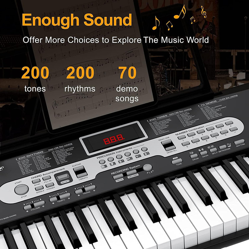 61-Key Portable Keyboard Piano, with Detachable Microphone, Charger, Electric Keyboard Teaching