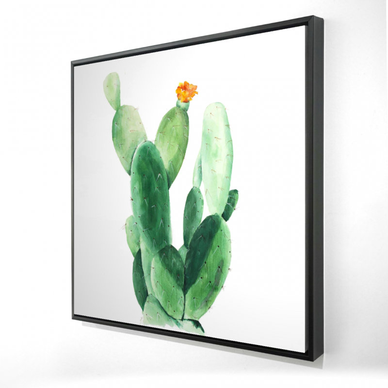 "Cactus aquarelle avec raquette"