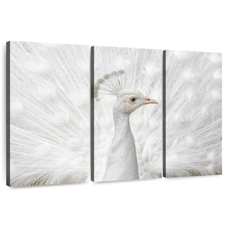 Brampt Immaculate, 32" H x 50" W