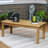 Hellwig Teak Rectangular Outdoor Coffee Table