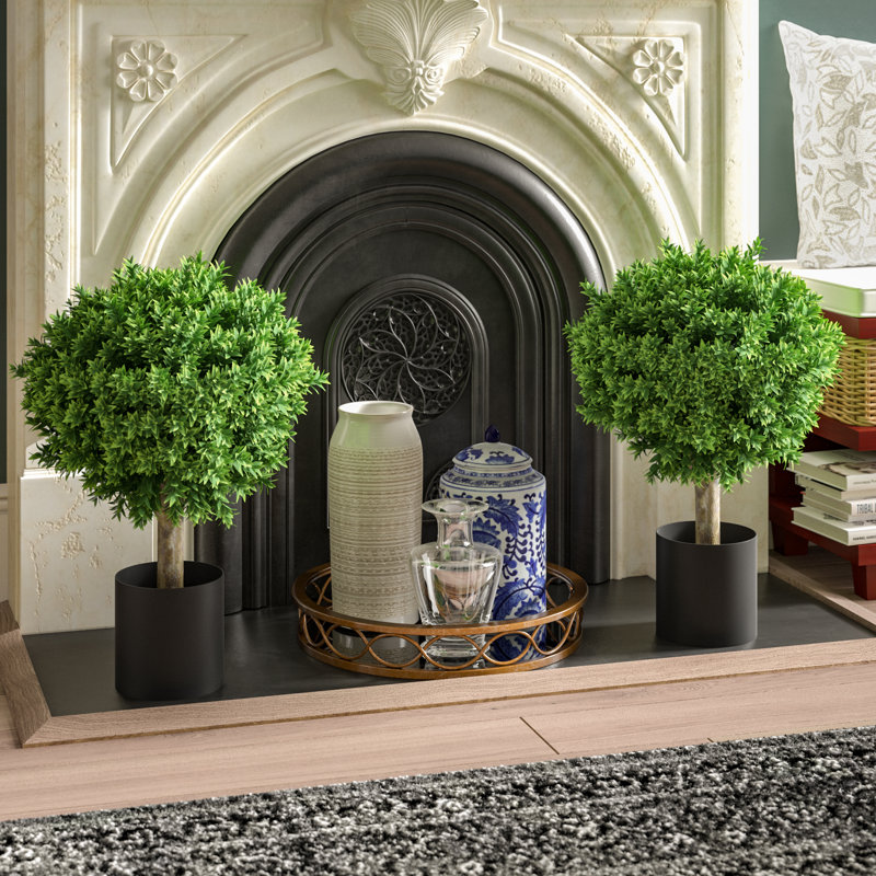 60.96 cm H Faux Boxwood Topiary Plant in Resin Pot