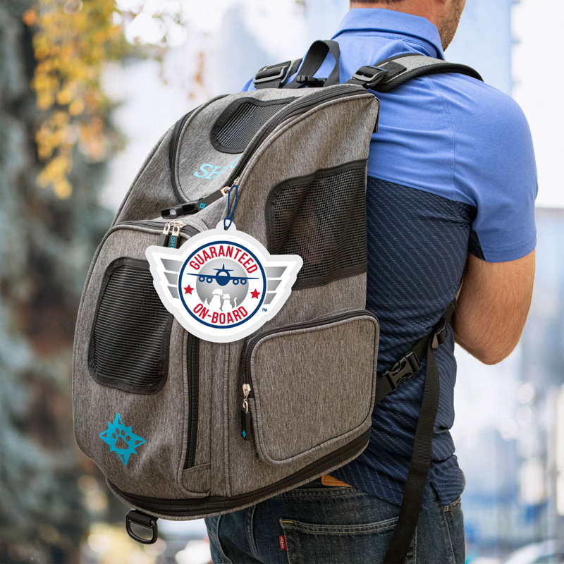 Collapsible Pet Carrier with 1 Door