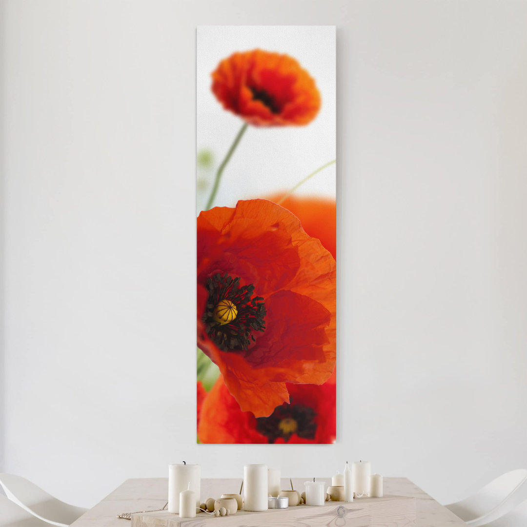 Leinwandbild Radiant Poppies