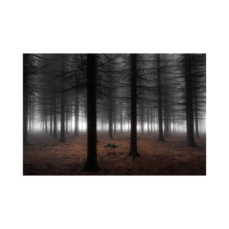 " Silence " by Dragisa Petrovic, Wrapped Canvas, 8" H x 12" W x 0.75" D