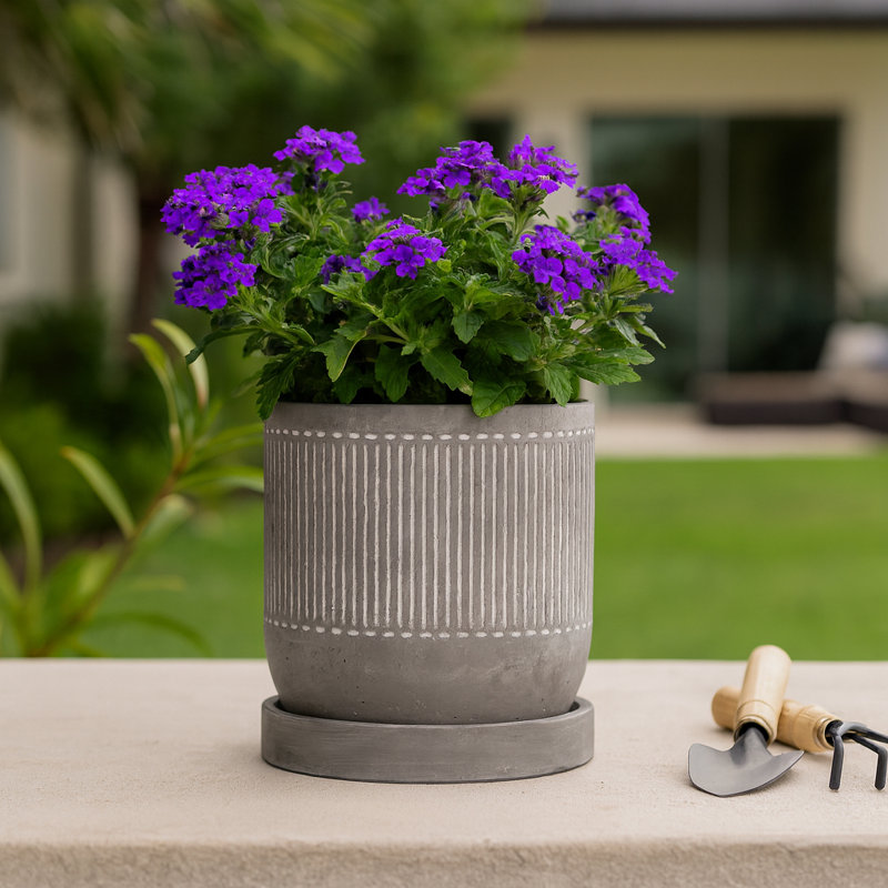 Pot à fleurs décoratif décoratif pour l'extérieur et l'intérieur - Pots de fleurs en ciment pour le salon et le patio - 6 po, gris et blanc