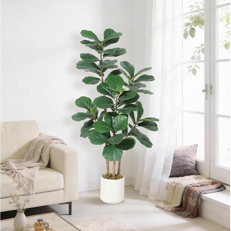 120cm Plant