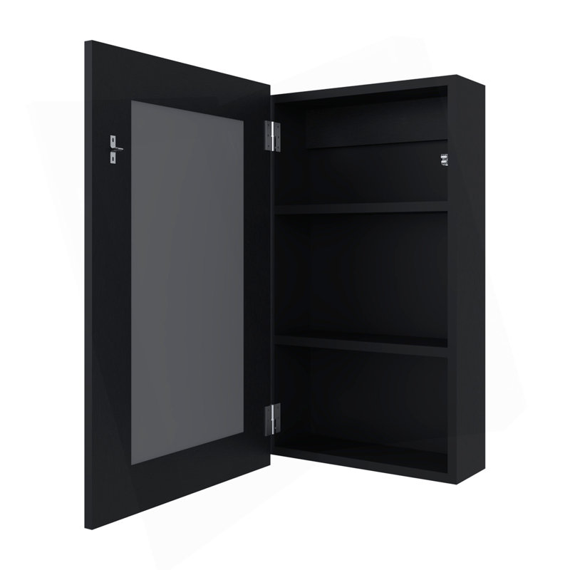 Parks Medicine Cabinet With Included Mirror, Black
