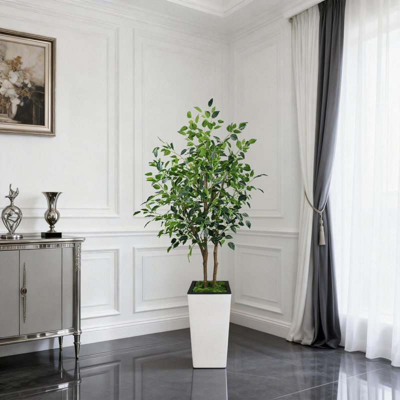 Ficus benjamin artificiel 5 pi Evergreen, 60 po x 9 po
