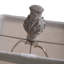 Lampe de table beige 31 "Arnisha