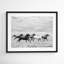 Horse Run I by PHBurchett-558661564-558661566