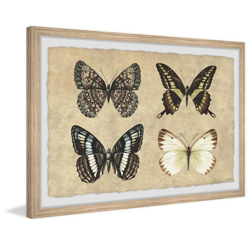 Her Wings Unfolded - Single Picture Frame Print, 41cm H x 61cm W x 3.81cm D