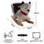 Animal Rocker