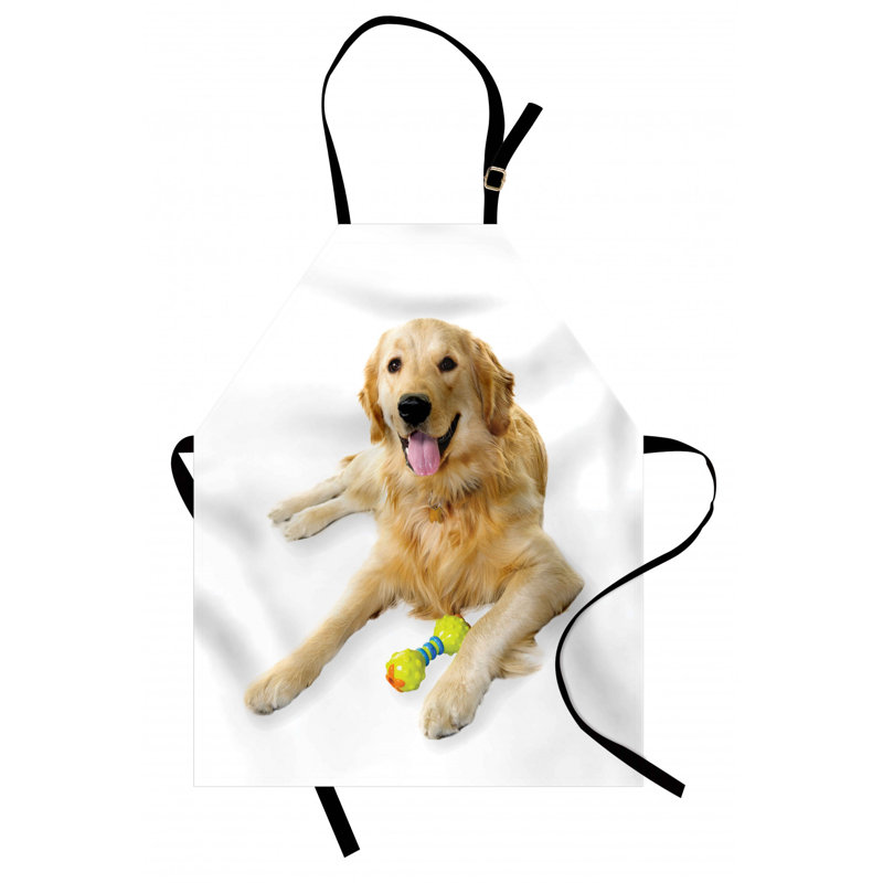 Tablier de golden retriever