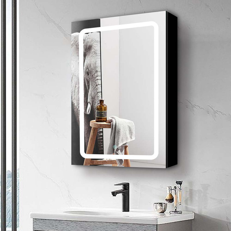 Miroir pour armoire à pharmacie Dayesha, 30 po x 20 po