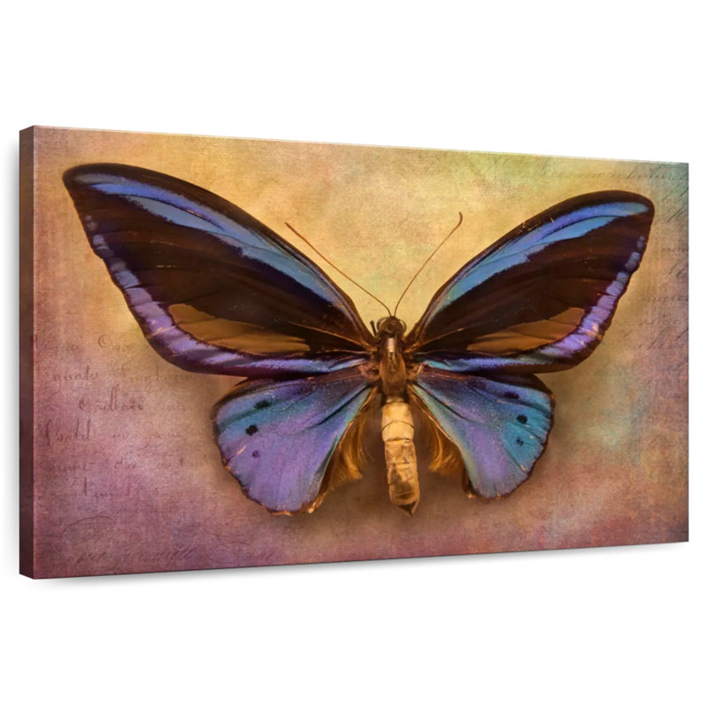 Brampt Purple Butterfly, 34" H x 51" W