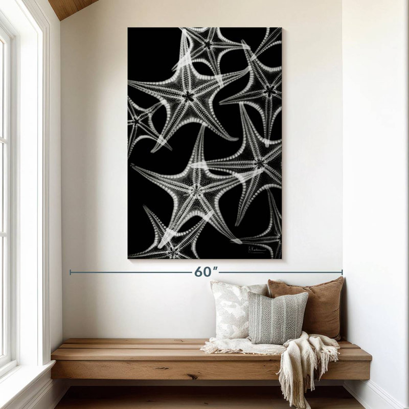 Brampt White Starfish, 51" H x 34" W