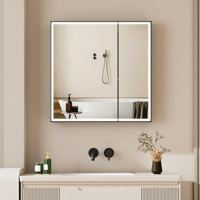 Armoire à miroir DEL à fixation murale encastrée ou en surface Wajaahat H 30 po avec désembueur et tablettes réglables, cadre noir