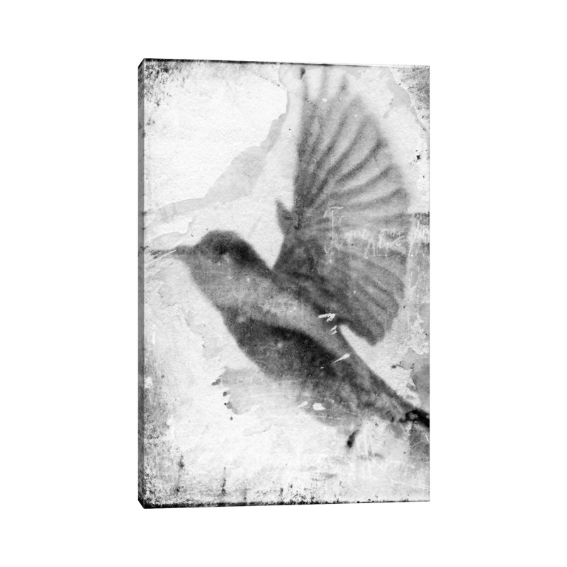 B&W Flight II by Ingrid Blixt - Wrapped Canvas Print, 66.04 cm H x 45.72 cm W x 3.175 cm D