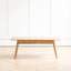 Table basse en bois massif naturel, 100 x 50 x 45 cm, deux tiroirs, structure solide, rangement pur à 100%, style élégant