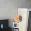 Photos des clients 1 de 1