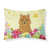 Norwich Terrier selected