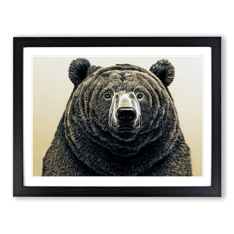 Outstanding Bear - Single Picture Frame Print, 46cm H x 64cm W x 2cm D, Black