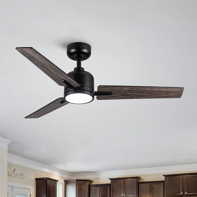 Modern 48" Ceiling Fan with Light and 3 Blades