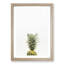 Its Pineapple Time - Framed Print-55576074-55576076
