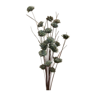 Ting Zinnia Stem