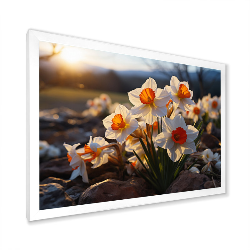 Daffodils Field Sunset II - Floral Wall Decor, H 34 po x l 44 po x P 1,5 po, Cadre simple blanc