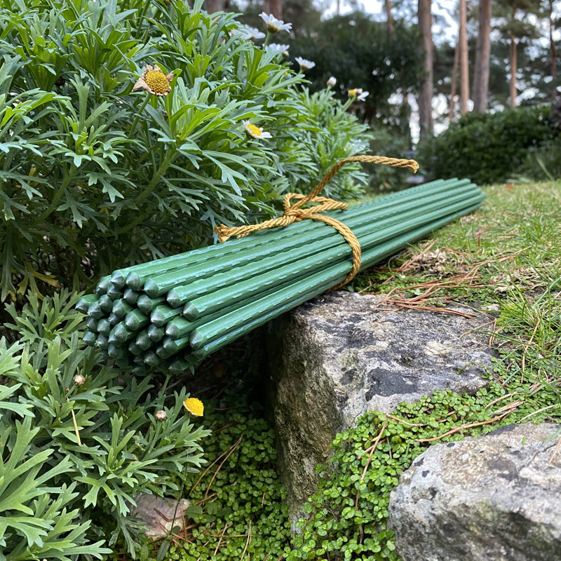Chadd Plant Support, 60cm H x 0.8cm W x 0.8cm D