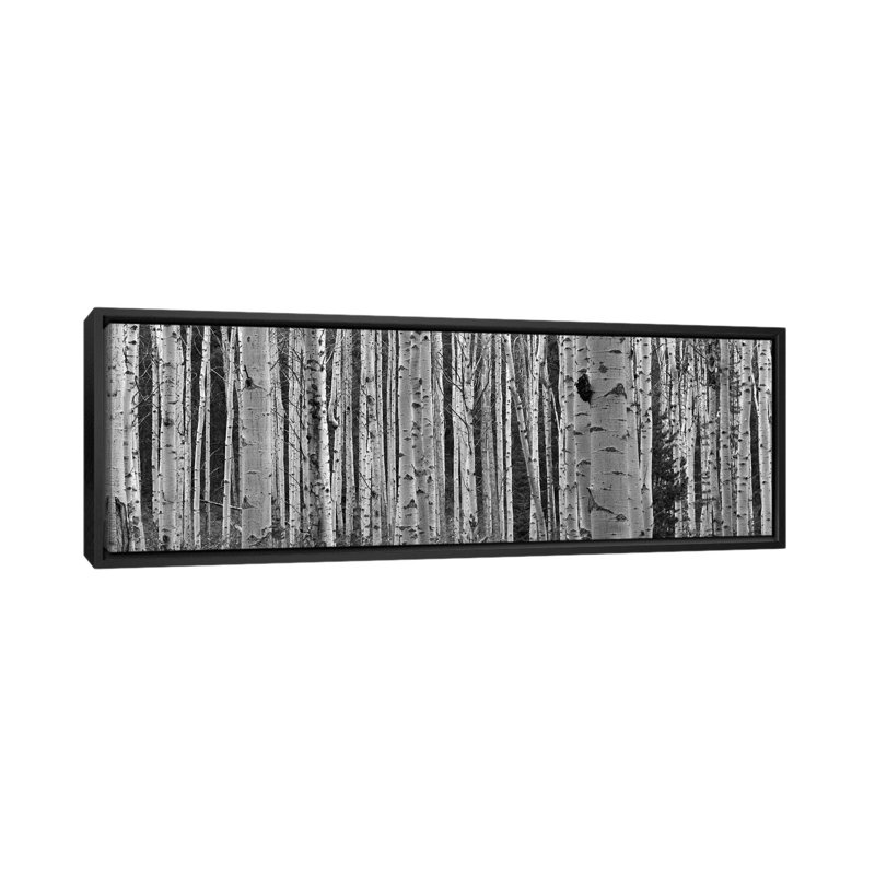Aspen Trees, Alberta, Canada, reproduction de photo sur toile tendue, Toile avec cadre noir, H 20 po x l 60 po x P 1,5 po