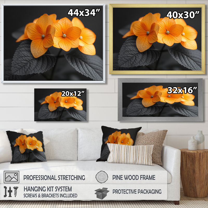 Orange orange, parfum d'hydrangées et d'hortensias muraux, H 12 po x l 20 po, Toile tendue