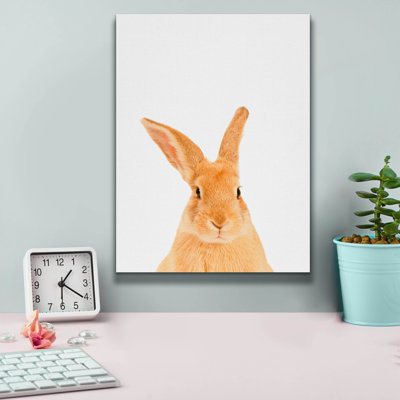 «Rabbit» par Tai Prints, art mural sur toile