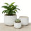 3-Piece Mgo Planter Set With Weaving Pattern, Pot Planter