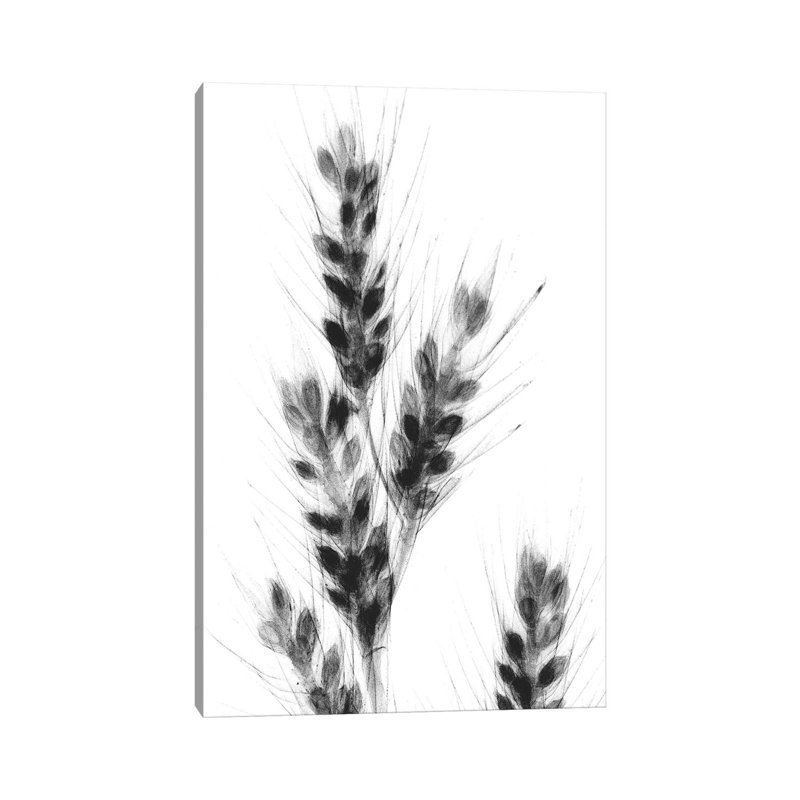 Bunches Of Oats by Albert Koetsier - Gallery-Wrapped Canvas Giclée on Canvas, 12" H x 8" W, Wrapped Canvas
